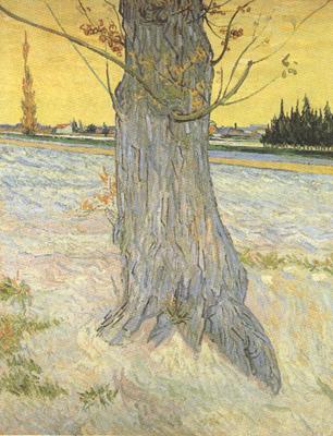 Vincent Van Gogh Trunk of an old Yew Tree (nn04)